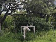 Hermoso Campo de 5 hectareas con Nogales, Hermosa vista...