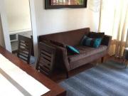 HERMOSO DEPARTAMENTO AMOBLADO METRO IRARRAZAVAL SANTIAGO