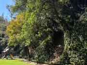 Hermoso departamento en renta o venta en Reforma