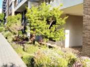 ¡Hermoso Departamento en Venta en el Corazón de Viña del...