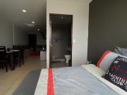 | Hermoso Departamento tipo estudio amueblado, en renta. |