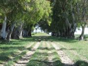 Hermoso Lote en Amarylis, barrio cerrado