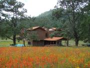 Hermoso Rancho CALATE I en venta en Juanacatlan a 15...