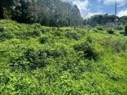 HERMOSO TERRENO A PIE DE CARRETERA EN TEPOZTLAN MOR