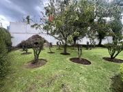 Hermoso terreno con árboles frutales Hermoso terreno con árboles frutales