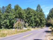 Hermoso terreno con bosque nativo