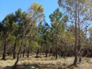 HERMOSO TERRENO EN COSTA ESMERALDA MARÍTIMO IV, A METROS...