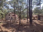 Hermoso Terreno en el Bosque de Mazamitla, Jalisco