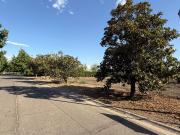 Hermoso terreno en las brisas de chicureo