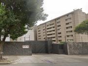 HERMOSO Y ACOGEDOR DEPARTAMENTO EN ZONA SUR DE LA CIUDAD...