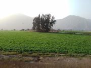 HERMOSO Y AMPLIO TERRENO EN VENTA