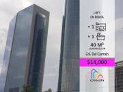 Hermoso y Confortable Loft en Coyoac?n
