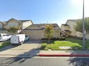 Heron, PITTSBURG, CA 94565