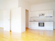 herrliche Altbauwohnung in der Kremser Altstadt!
