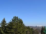 Herrliche Aussicht beim Hörndlwald Exklusives...