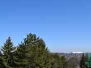 Herrliche Aussicht beim Hörndlwald Exklusives...