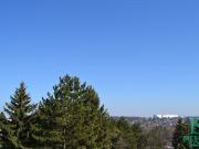 Herrliche Aussicht beim Hörndlwald Exklusives...
