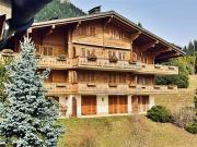 Hervorragendes Penthouse mit 5,5 Zimmern, komplett renoviert