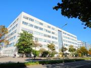 Hervorragendes Preis Leistungs Verhältnis