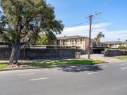 Hi, I'm Light, Bright, and Low Maintenance.