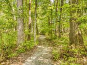 HIBERNIA 1 Bedroom Apartment for Rent at 5680 Hibernia...