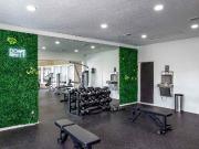 Hickory Creek 1 Bedroom Apartment for Rent at 1820...