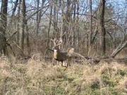 Hickory Grove Rd, Richmond, MO 64085