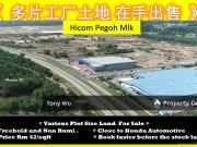 Hicom Pegoh Industrial Land For Sale