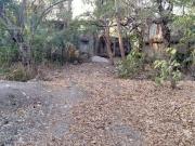 Hidalgo, Ciudad Valles, San Luis Potosi, TERRENO VENTA