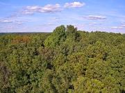 High Falls Rd, Jackson, Plot For Sale