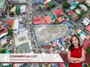 High Potential Commercial Lot for Sale in Paranaque City...