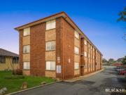 High Yield, Low Maintenance Investment with Upside