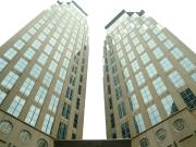 High zone Office for rent Ayala Ave Makati