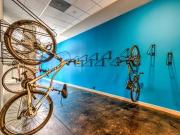 Highland Row Goodman