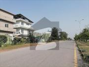 Highly Coveted 2450 Square Feet House Is Available In D...