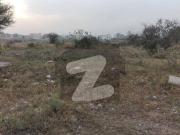 Highly Desirable Residential Plot Available In D 12/3...