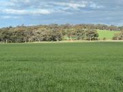 HIGHLY PRODUCTIVE MIXED FARMING PROPERTY