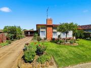 HIGHLY SOUGHT, RARELY FOUND!