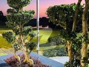 Highted Location Plot For Sale Solid And Beautiful...