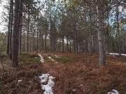 Highway 201, South Farmington, NS, B0P 1W0 vacant land...