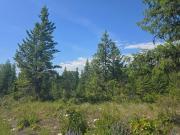 Hill Loop Rd, Kettle Falls, Plot For Sale