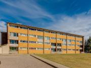 Hillsboro Place Apartments Pet Friendly Apartments 3...