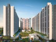 Hinjawadi Phase 2 1 BHK Apartment For Sale Pune