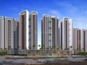 VTP Bellissimo Phase 1,Hinjawadi 2 BHK Apartment For...