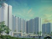 Hinjawadi Phase 3 2 BHK Apartment For Sale Pune