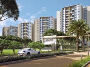Hinjawadi Phase 3 2 BHK Apartment For Sale Pune