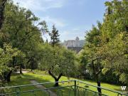 Historisches Haus mit direktem Burgblick, großem Garten...