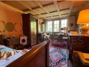 Historisches Haus mit privatem Garten in Freiburg Charme...