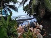 Hitiaa O Te Ra 98705 Achat / Vente maison 3 pièces t3