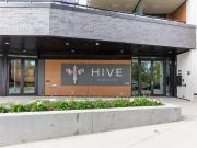 Hive at Sunnyside